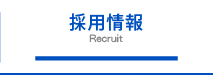 採用情報